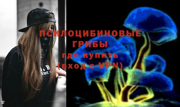 дживик Бронницы