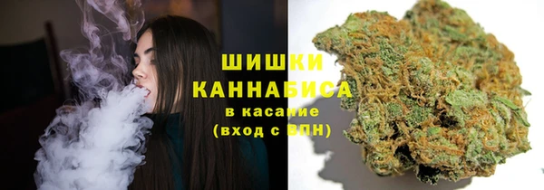 дживик Бронницы