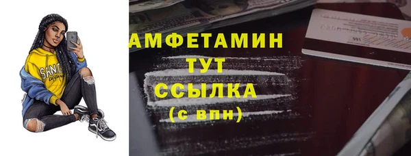 дживик Бронницы